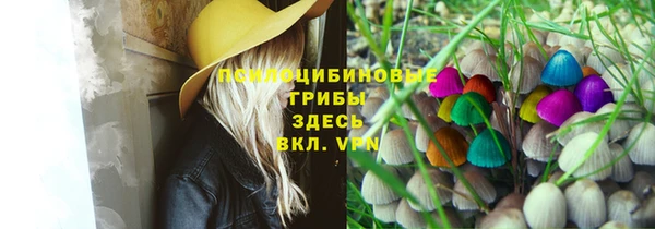 соль курить ск Елизово