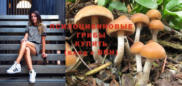 соль курить ск Елизово