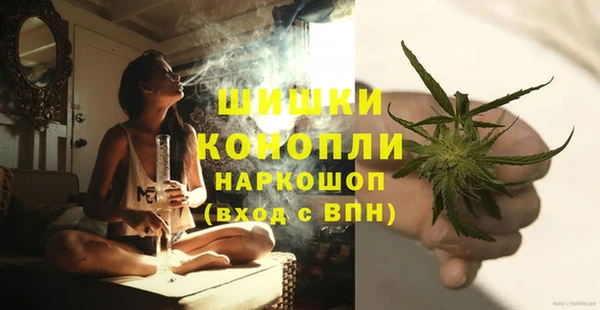 ешки Ельня