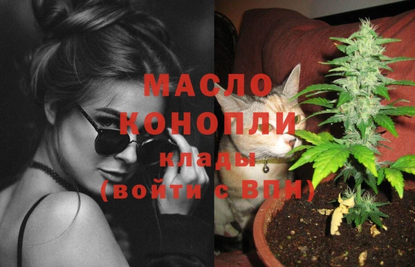 ешки Ельня
