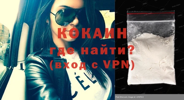 ешки Ельня