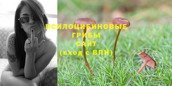 ешки Ельня