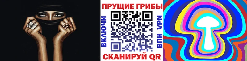 Псилоцибиновые грибы Psilocybe  Купить закладки  Карабулак 